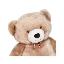 ours-francais-champagne-mailou-90cm (1).webp