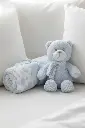 carraig-donn-blue-teddy-blanket-gift-set-739697.webp