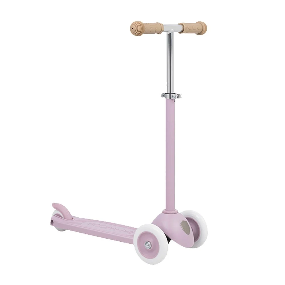 Banwood eco scooter (copy)