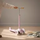 Banwood eco scooter