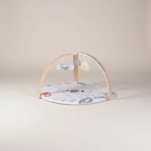 Konig Kids Wooden Baby Play Gym & Play Mat