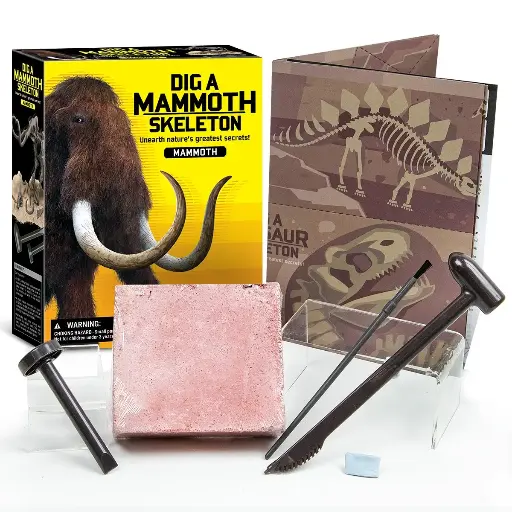 KIDZLABS DIG A MAMMOTH STELETON